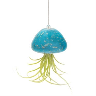 APM Air Plant Jellyfish Teal/Gold — photo 1 of 2