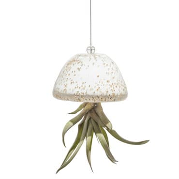 APM Air Plant Jellyfish White/Gold — photo 1 of 2