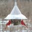 Arundale Sky Cafe Feeder Can Be Hung Or Pole Mounted MADE IN THE USA — thumbnail 1 of 2