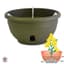 Apollo 12" Eezy Gro Hanging Basket Olive — thumbnail 1 of 2