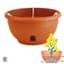 Apollo 12" Eezy Gro Hanging Basket Terra — thumbnail 1 of 2