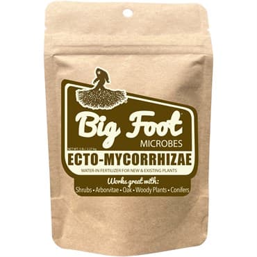 Big Foot 5# Ecto-Mycorrhizae — photo 1 of 2