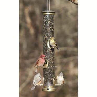 Aspects Large Antique Brass Seed Tube Feeder Quick Clean — photo 1 of 2