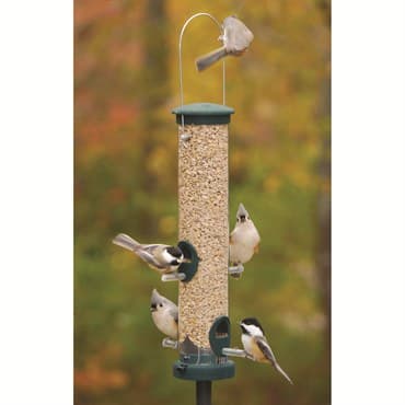 Aspects Medium Spruce Quick Clean Tube Seed Feeder — photo 1 of 2