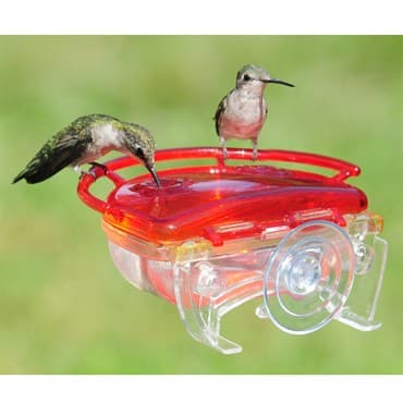 Aspects The Gem Window Hummingbird Feeder — photo 1 of 2