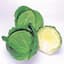Cabbage, Savoy Ace Improved 5000 Seed Count — thumbnail 1 of 2