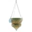 Austram 14" Queen Anne Parasol Hanging Planter Green — thumbnail 1 of 2