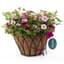 Austram 14" Lotus ProGro Planter Black with Hanger — thumbnail 1 of 2