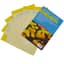 BASF Sensor Yellow Sticky Cards 3"x5"  50/PK (15/Cs) — thumbnail 1 of 2