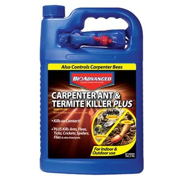BioAdvanced 1gal Carpenter Ant & Termite Control RTU — photo 1 of 2