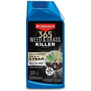 BioAdv 28oz 365 Weed & Grass Killer Concentrate — photo 1 of 2