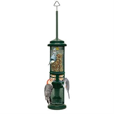 Brome Bird Care 5.13"x19.38" SquirrelBuster Nut Feeder — photo 1 of 2