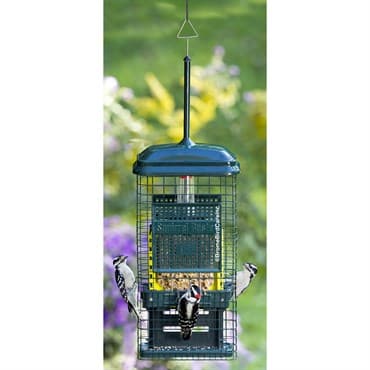 Brome Bird Care 8.625"x4.5"x18.625" SquirrelBuster Suet Feeder — photo 1 of 2