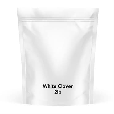 Barenbrug 2# White Clover — photo 1 of 2