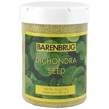 Barenbrug 1# Dichondra — photo 1 of 2