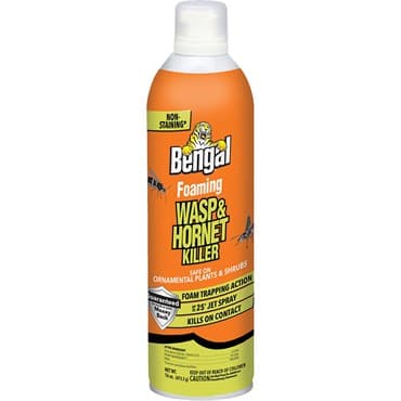 Bengal 16oz Foaming Wasp & Hornet Jet Spray — photo 1 of 2