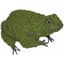 Braun 6" Frog Mossed — thumbnail 1 of 2
