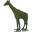 Braun 38" Giraffe Mossed — thumbnail 1 of 2