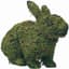 Braun 13" Hopping Rabbit Mossed — thumbnail 1 of 2