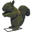 Braun 12" Squirrel Mossed — thumbnail 1 of 2