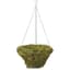 Braun 20" Woodland Moss Hanging Basket w/ Green Chain Hanger — thumbnail 1 of 2