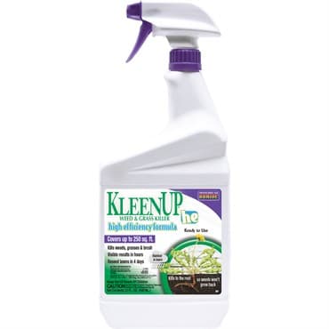 Bonide Qt KleenUP HE RTU — photo 1 of 2