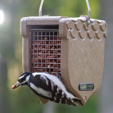 Birds Choice Acorn Shelled Peanut Feeder Recycled Plastic Tan 1# Capacity — photo 1 of 2