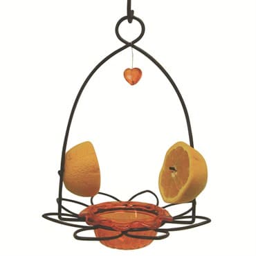 Birds Choice 3oz Oriole Flower Feeder for Jelly & Fruit — photo 1 of 2