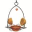 Birds Choice 3oz Oriole Flower Feeder for Jelly & Fruit — thumbnail 1 of 2