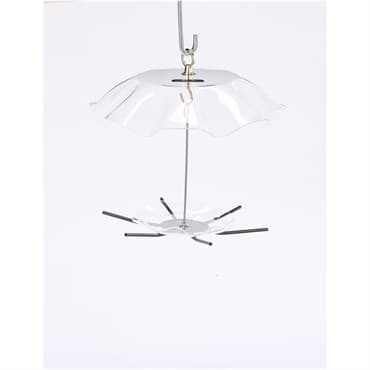 Birds Choice Hanging Seed Cylinder Feeder with 10" Dome Clear — photo 1 of 2