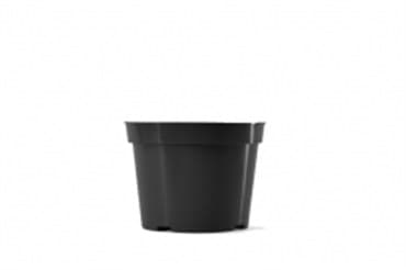 BLD 06.00 AZ BLK 300/CS 48CS/PL 692107 — photo 1 of 2