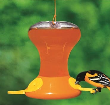 Songbird Essentials 30oz Oriole Feeder Jr w/ Active Bee Guards — photo 1 of 2