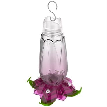 Classic 18oz Glass Floral Hummingbird Feeder Purple — photo 1 of 2