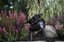 Moonrays Solar Black Plastic High Power Spotlight — thumbnail 1 of 2