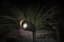 Moonrays Black Spotlight - Large — thumbnail 1 of 2