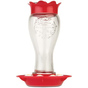 Pennington 16oz Glass Hummingbird Feeder — photo 1 of 2