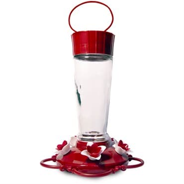 Pennington 10oz Glass Hummingbird Feeder — photo 1 of 2