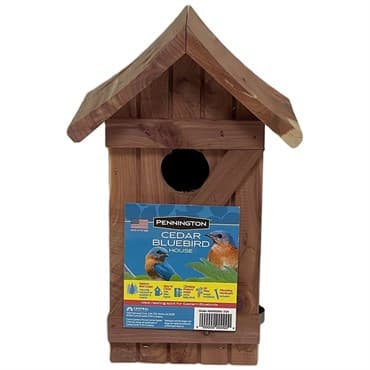 Pennington Cedar Bluebird House — photo 1 of 2