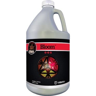 Cutting Edge Gallon Bloom 0-6-5 — photo 1 of 2