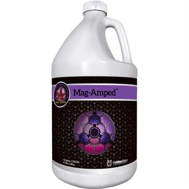 Cutting Edge Solutions Gallon Mag Amped — photo 1 of 2