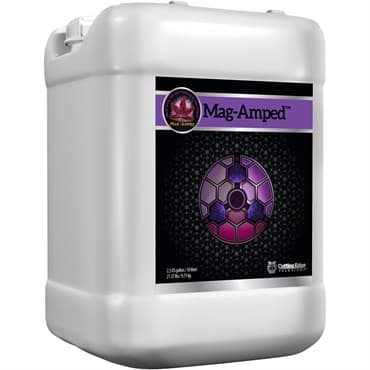 Cutting Edge Solutions 2.5 Gallon Mag Amped — photo 1 of 2