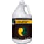 Cutting Edge Gallon pH Up — thumbnail 1 of 2