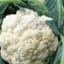 Cauliflower, Snowball Improved 1lb — thumbnail 1 of 2