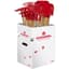 Corona 30pc Kids Long Tool PDQ Assortment — thumbnail 1 of 2