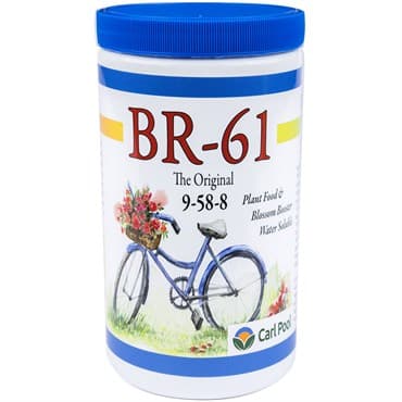 Carl Pool 24oz BR61 9-58-8 WSF — photo 1 of 2