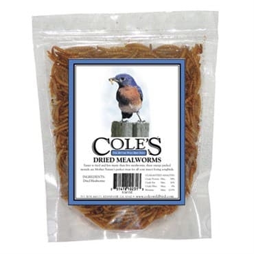 Coles 9.15oz Dried Mealworms Large — photo 1 of 2