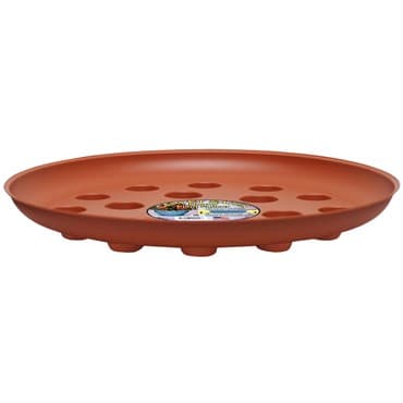 CWP 16" Terracotta Carpet Saver Saucer — photo 1 of 2