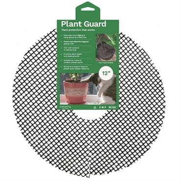 CWP 12" Plant Guard 2 Pack — photo 1 of 2