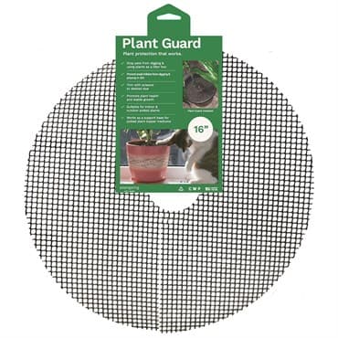 CWP 16" Plant Guard 2 Pack — photo 1 of 2