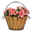 Deer Park Wave Basket w/ Coco Liner — thumbnail 1 of 2